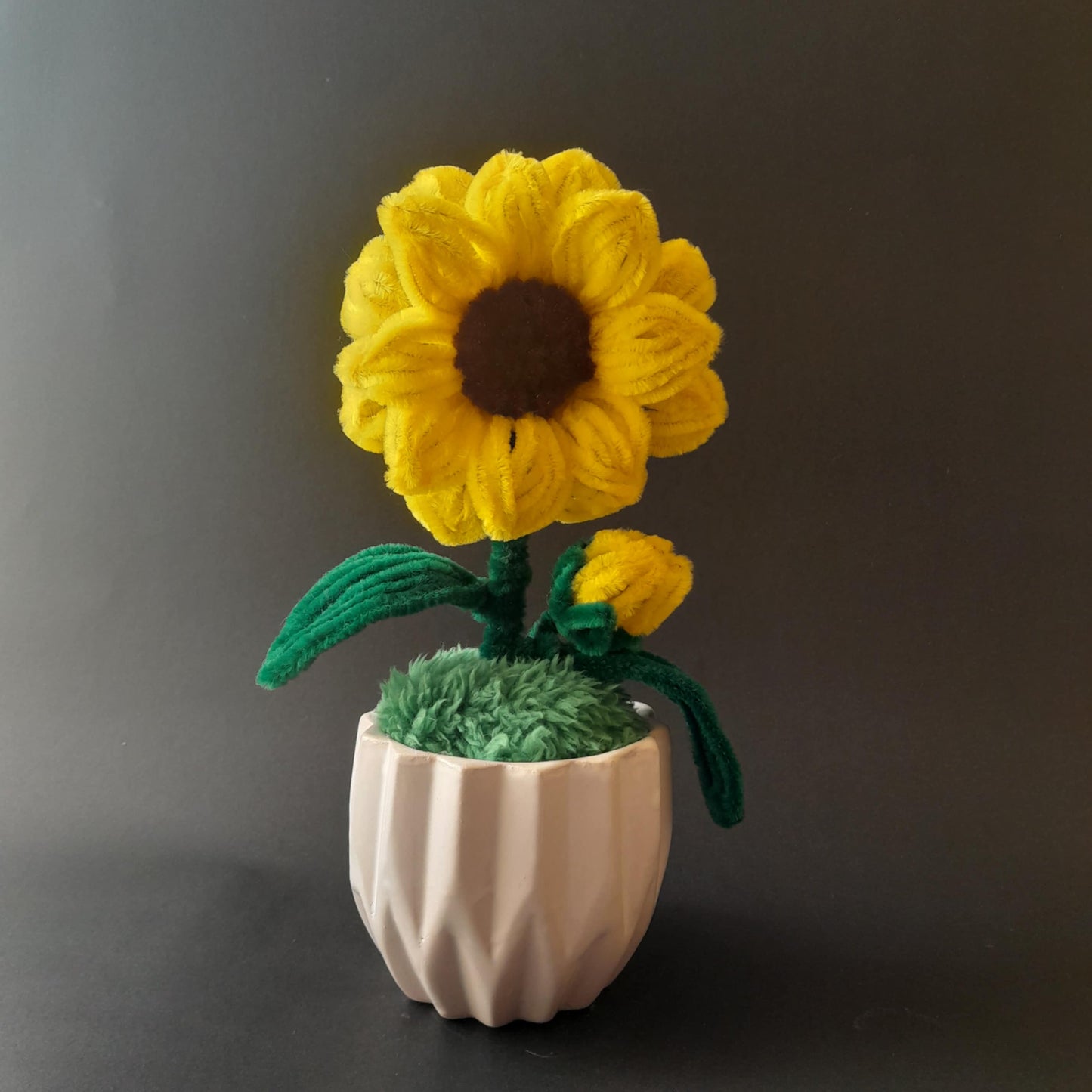 Maceta girasol Magico