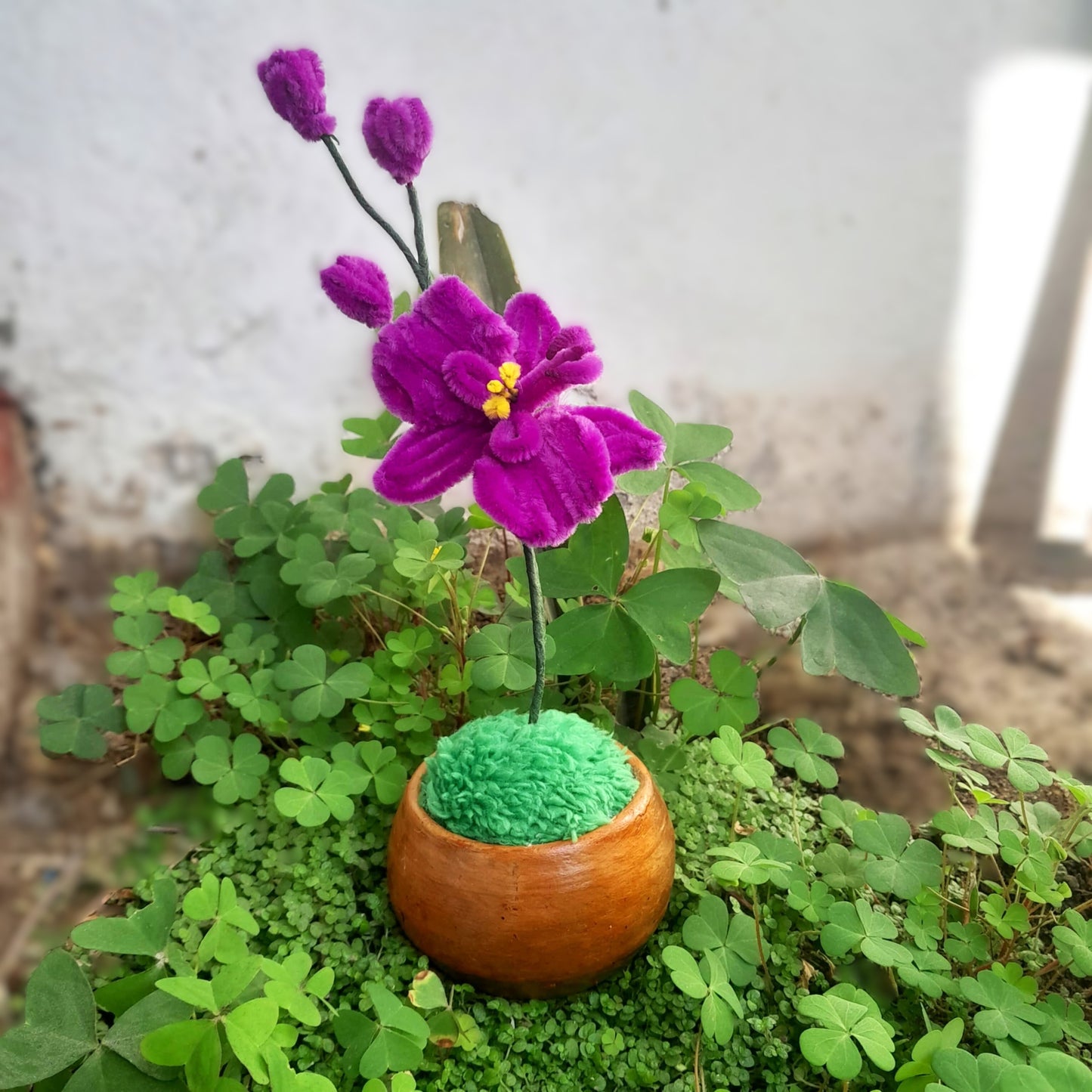 Flor Orquídea Mágica