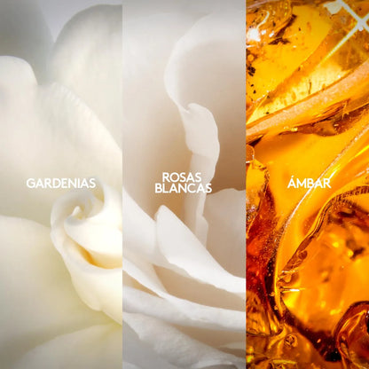 Perfume Fiori 50 ml
