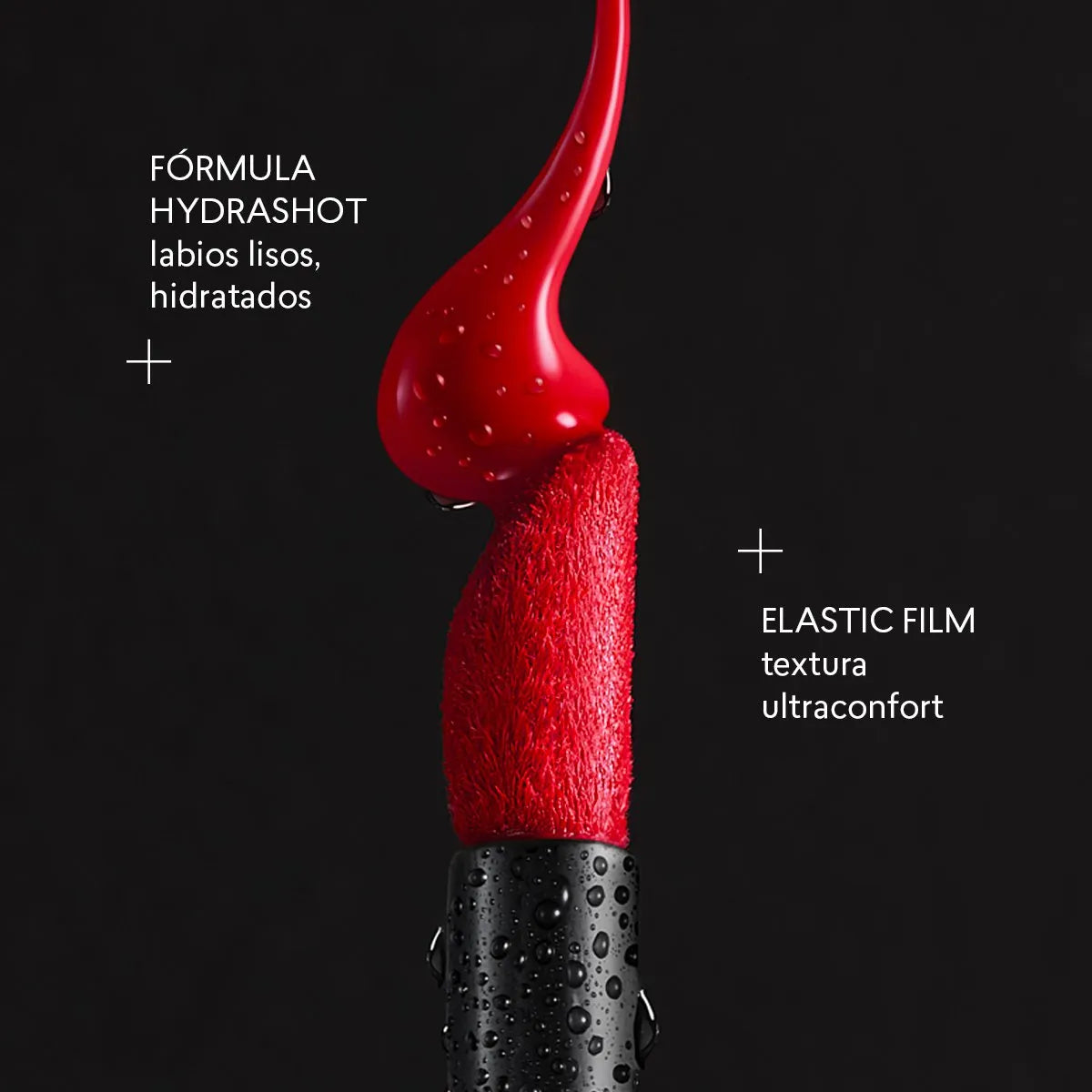 Labial Mate Studio Look