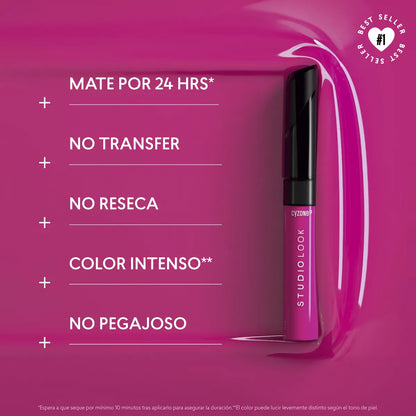 Labial Mate Studio Look