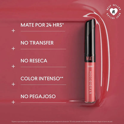 Labial Mate Studio Look