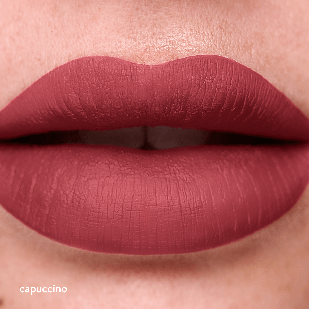 Labial Mate Studio Look