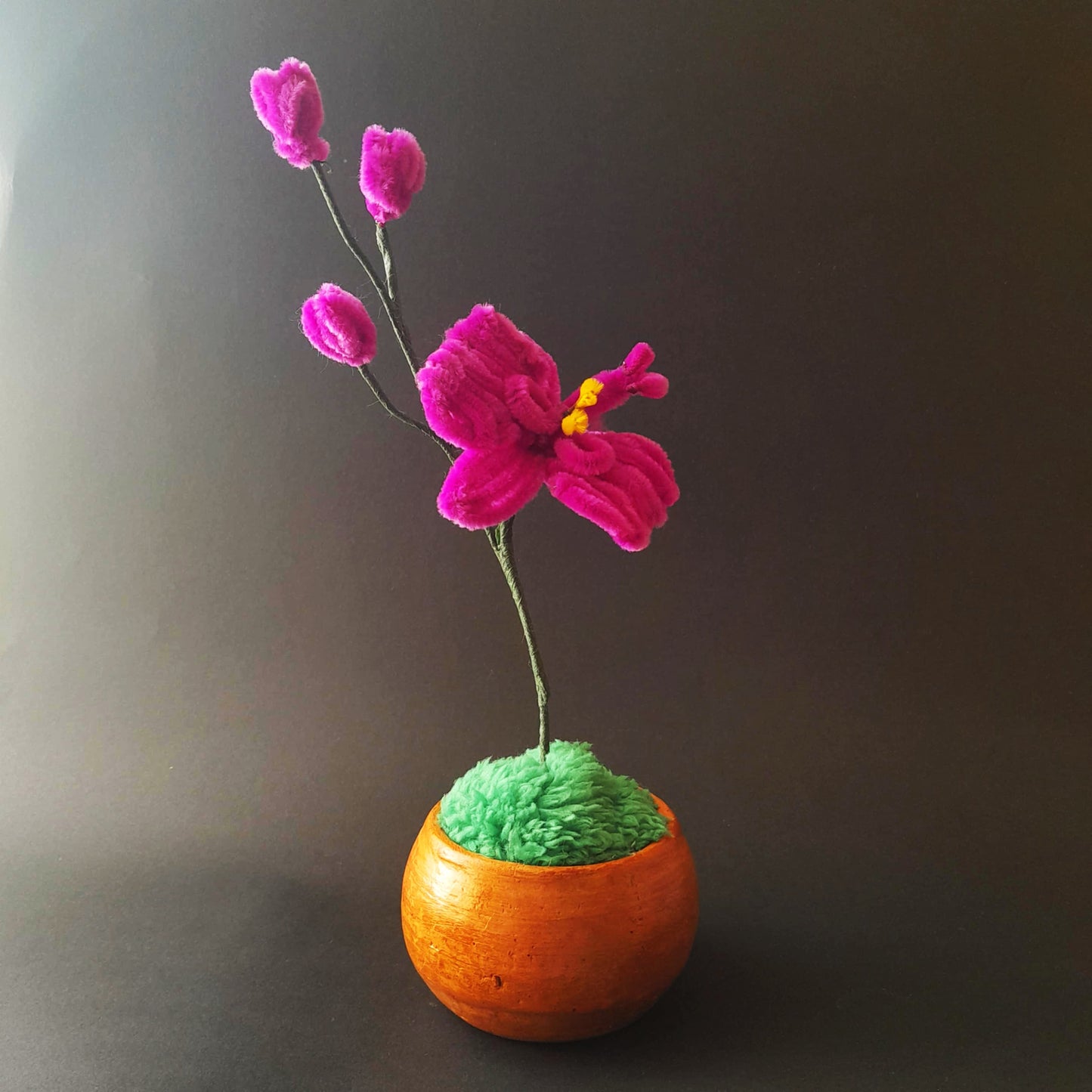 Flor Orquídea Mágica