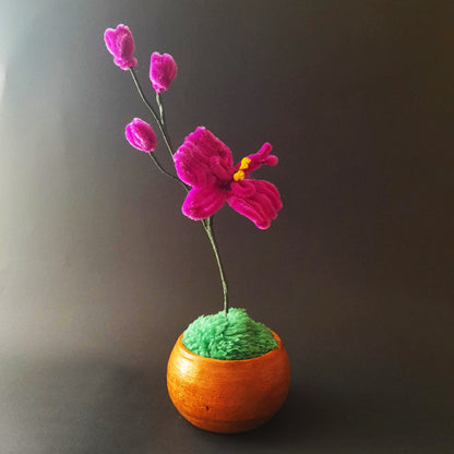 Flor Orquídea Mágica