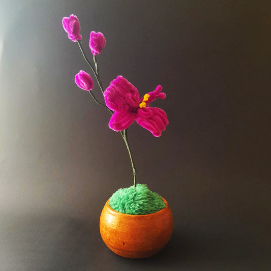 Flor Orquídea Mágica